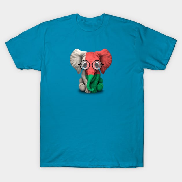 Baby Elephant with Glasses and Madagascar Flag T-Shirt by jeffbartels